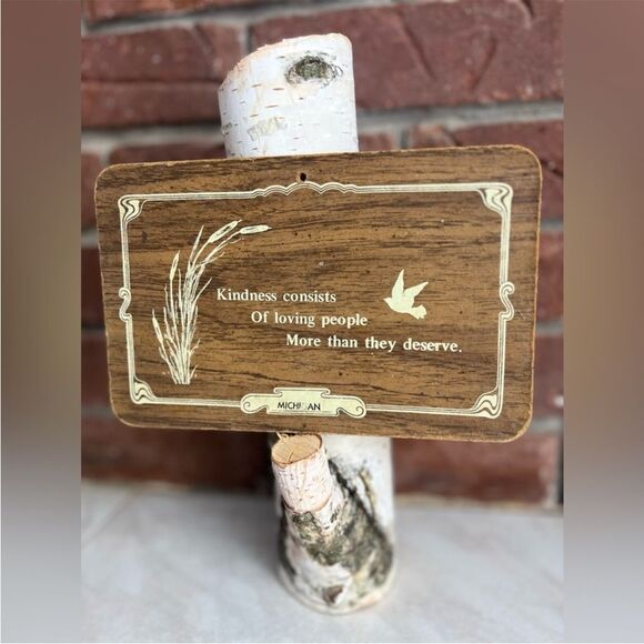 Vintage Michigan Sign - 'Kindness' Quote, Rustic Charm, Sentimental Decor Piece - Picture 2 of 6